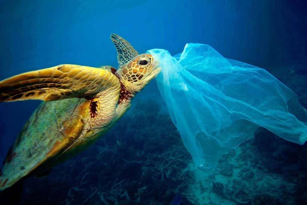 plastic-soup-foundationORG plastic soup Foundation