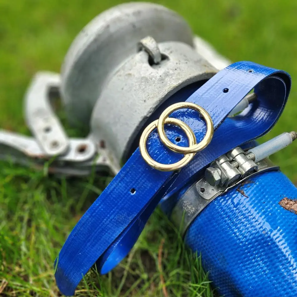 field blue bendl loops