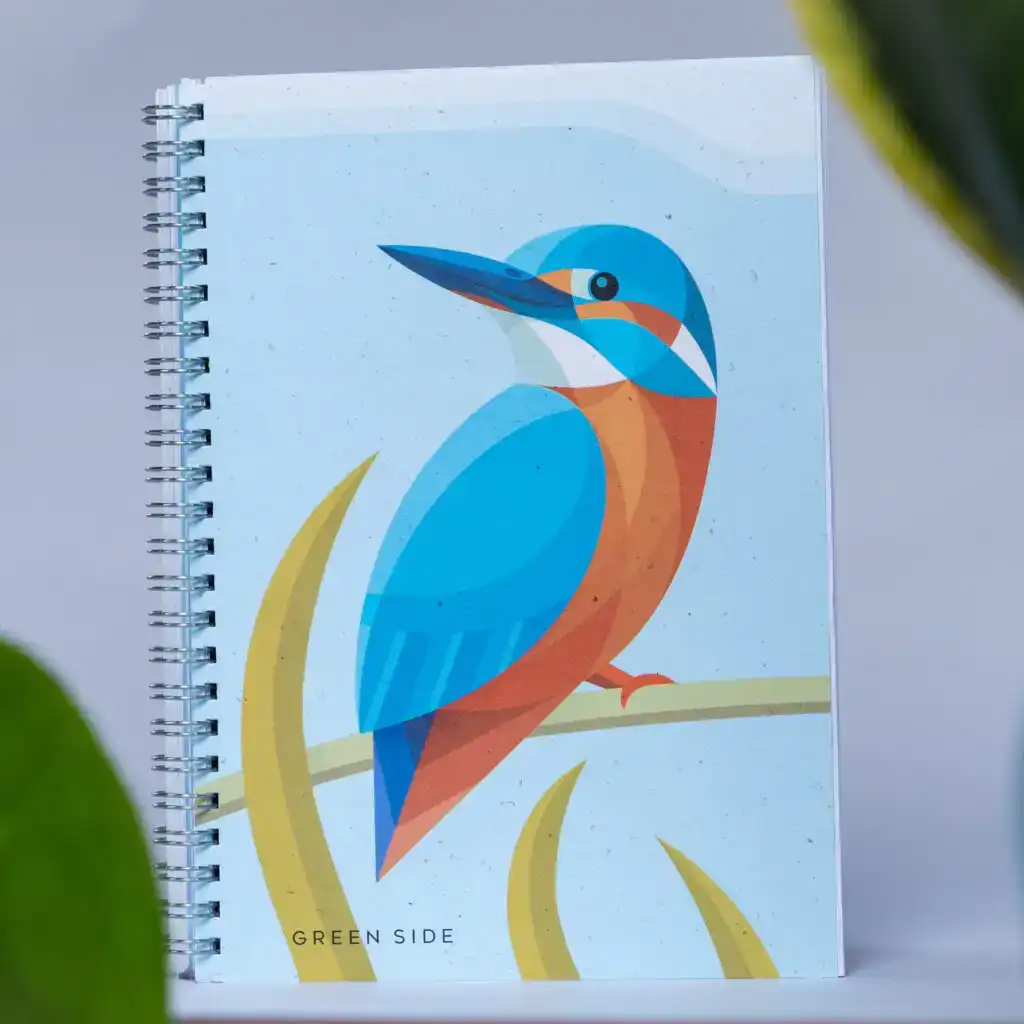 ijsvogel1024